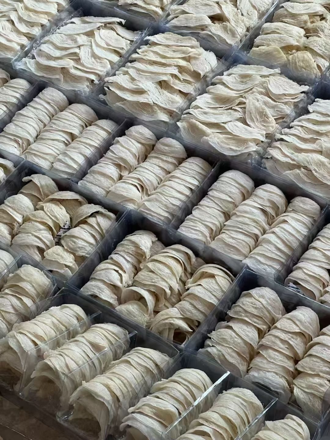 Bird’s Nest 